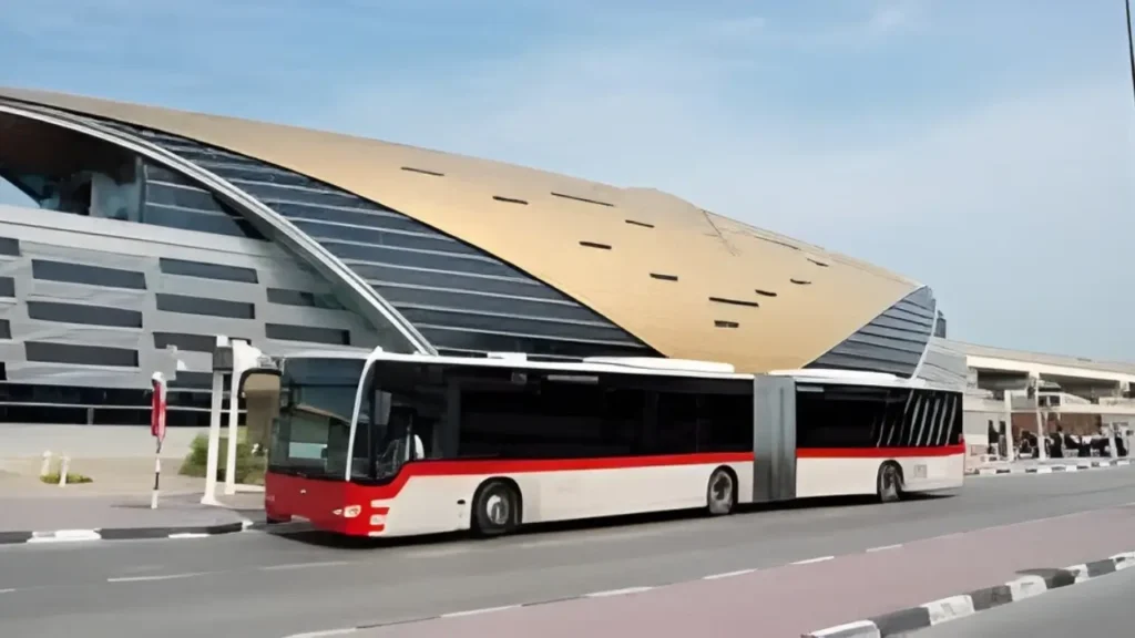 18 RTA Bus