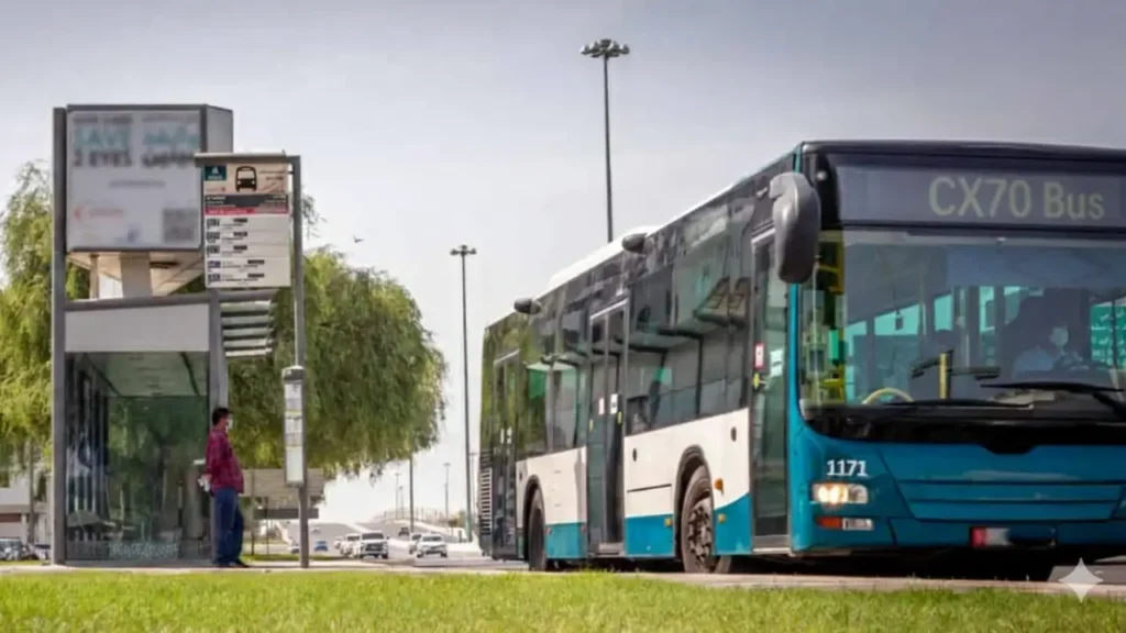 CX70 Bus