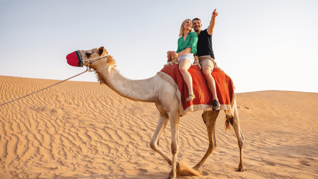 camel ride in desert safari