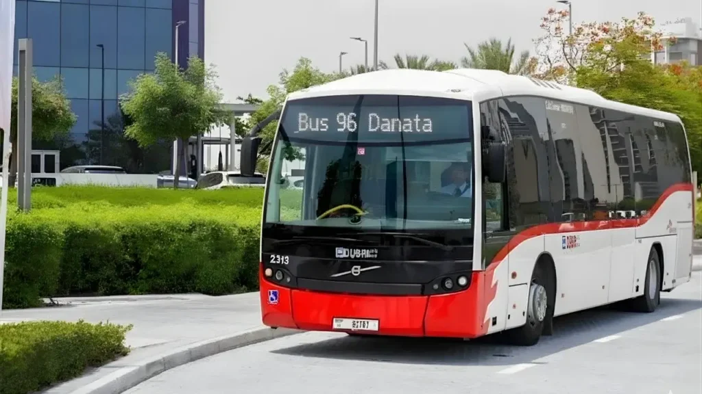 F46 Bus