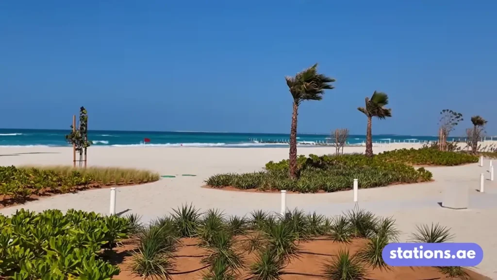 Saadiyat Beach