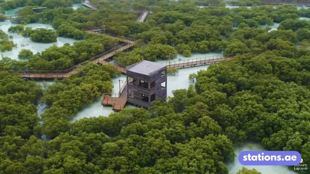 Jubail Mangrove Park
