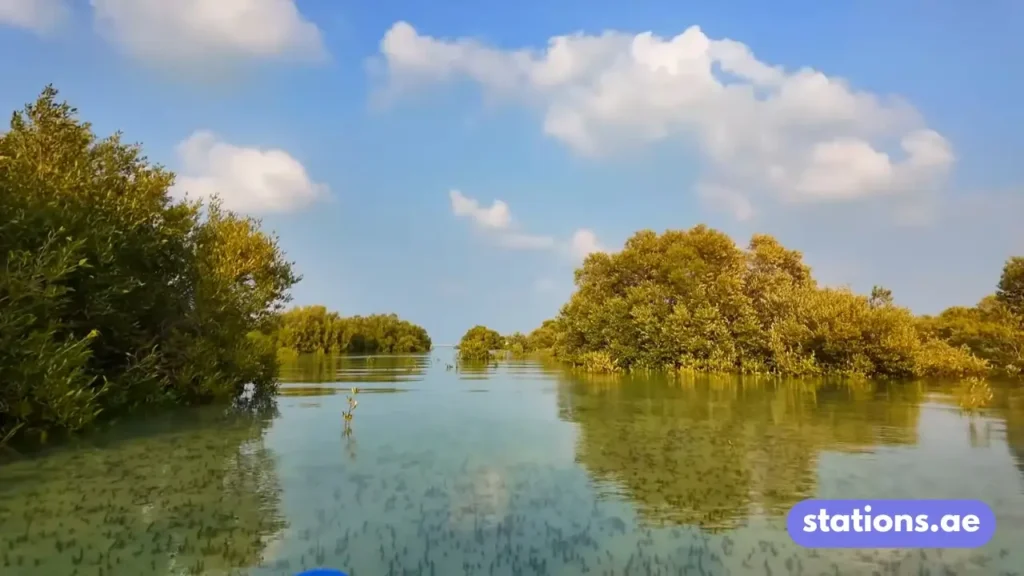 Mangrove National Park