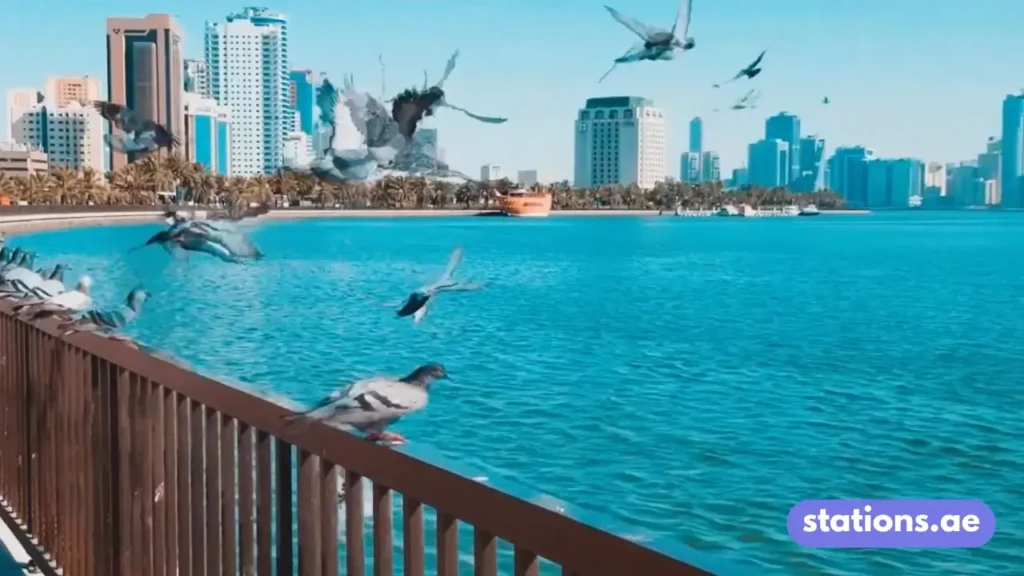 Al Noor Island